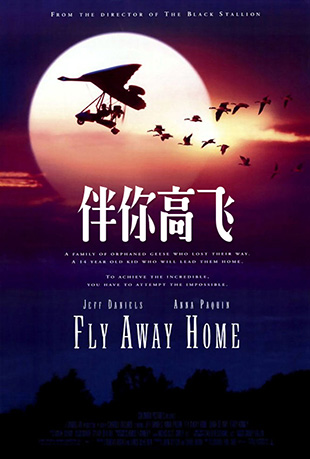 ߷ - Fly Away Home