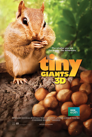 小巨人 3D 小巨人 3D - Tiny Giants 3D