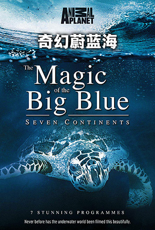 ε - Magic of the Big Blue