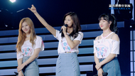 TWICE ״Ѳԭ̽ͼ