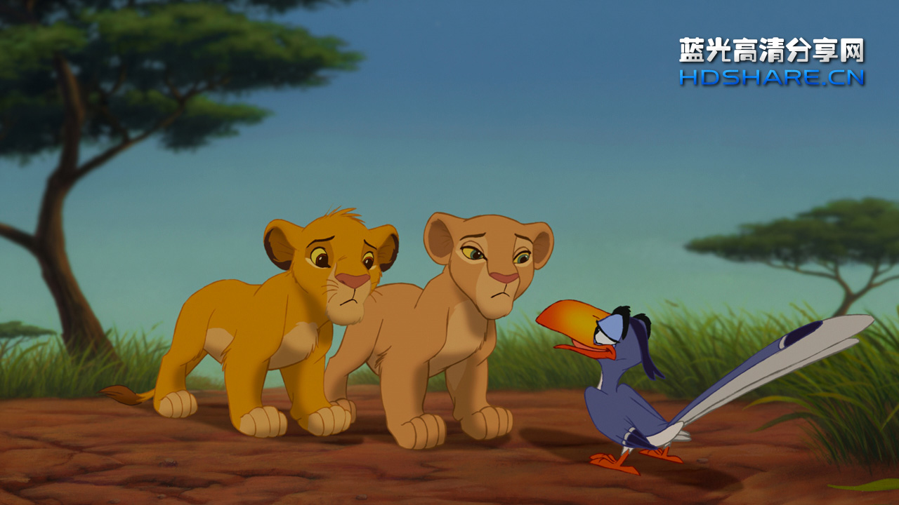 the lion king,the lion king海报 狮子王 - the lion king