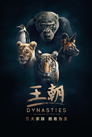  - Dynasties