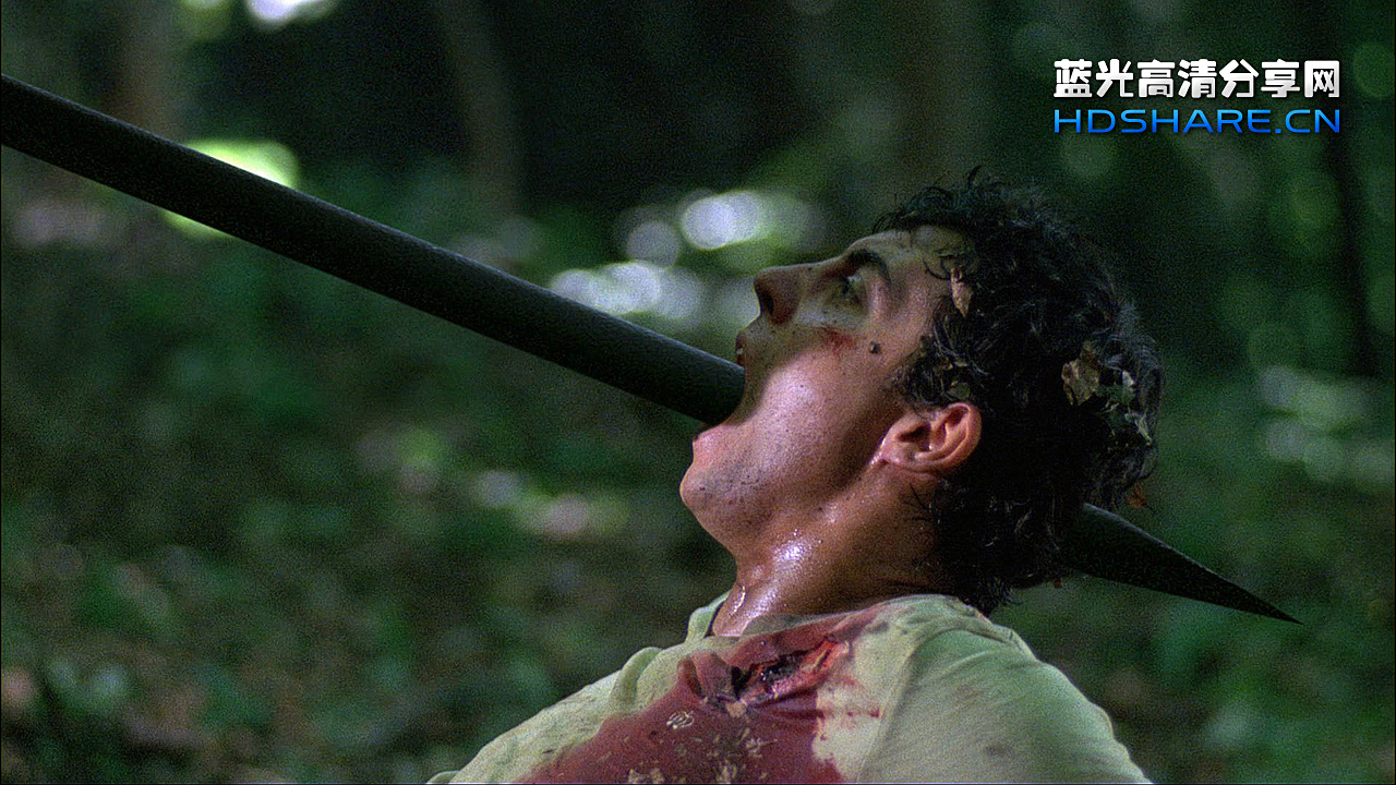 致命弯道3 - wrong turn 3: left for dead