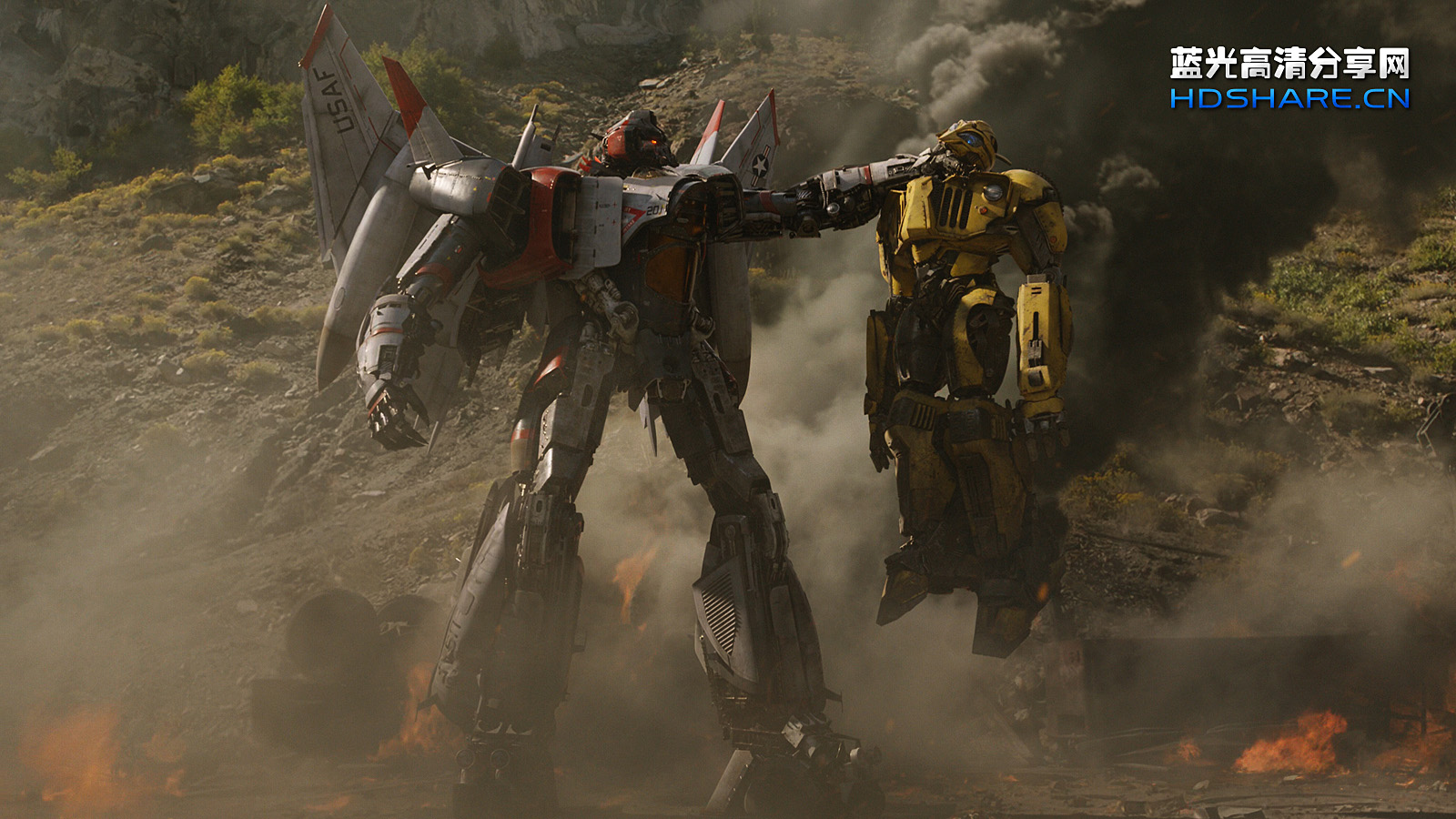 大黄蜂 bumblebee