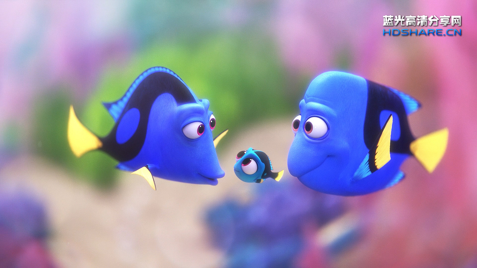 海底总动员2:多莉去哪儿 - finding dory
