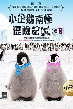 小企鹅南极历险记 小企鹅南极历险记 - Pengi and Sommi