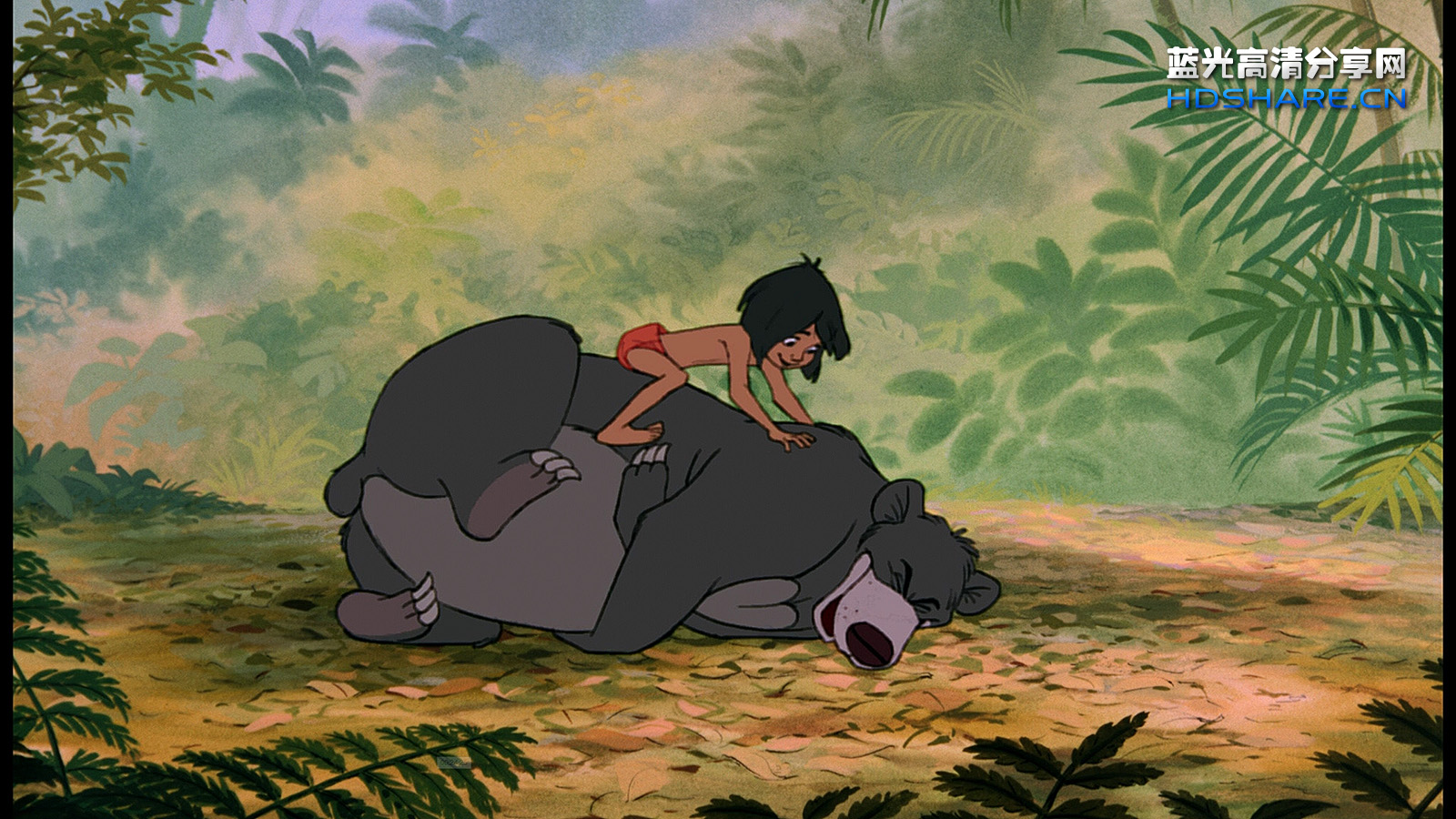 森林王子 the jungle book