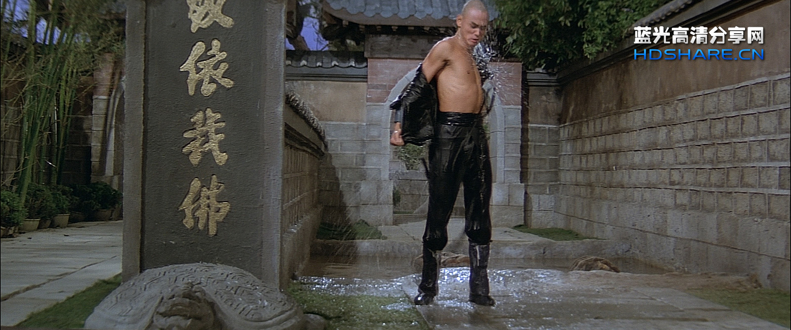 蓝光电影|蓝光原盘[少林三十六房.the.36th.chamber.of.shaolin.
