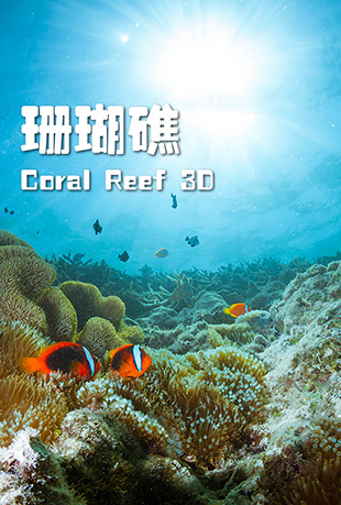 ɺ - Coral Reef 3D: Magic of the Indo Pacific