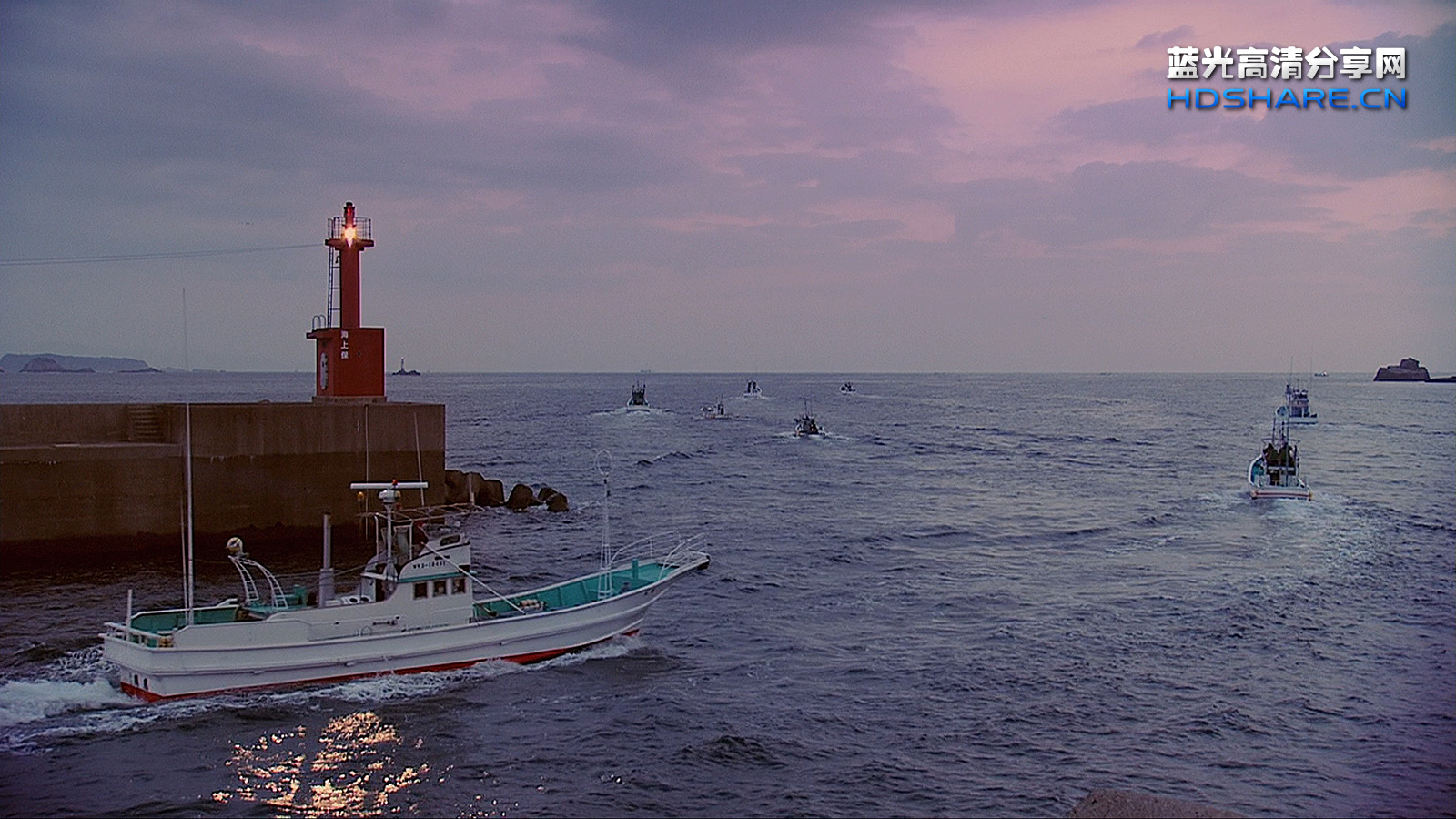 killingcove海豚湾,killingcove 海豚湾 - the cove