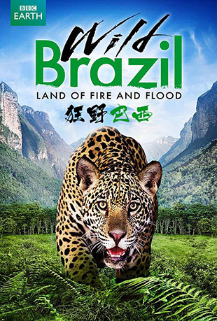 狂野巴西 狂野巴西 - Wild Brazil